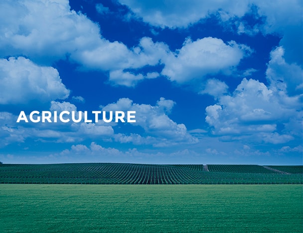 Agriculture