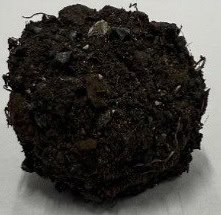 Molasses Lime Briquette