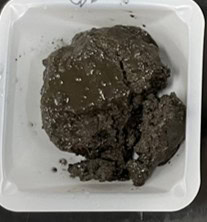 Other Polymer Binder