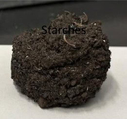 Starch Briquette